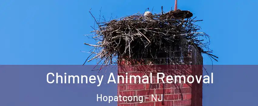 Chimney Animal Removal Hopatcong - NJ