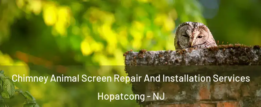  Chimney Animal Screen Repair And Installation Services Hopatcong - NJ
