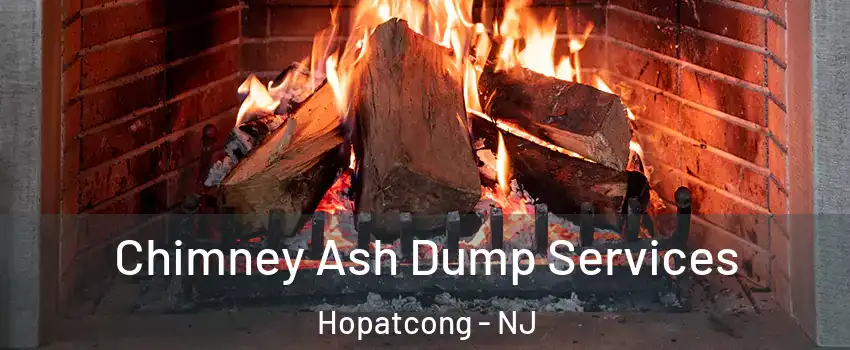  Chimney Ash Dump Services Hopatcong - NJ