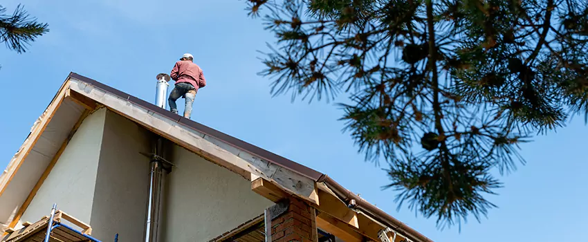 Birds Removal Contractors from Chimney in Hopatcong, NJ
